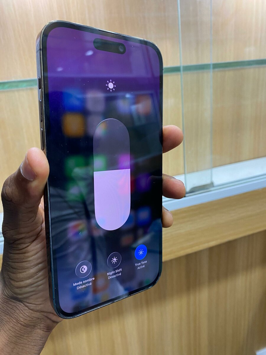 14 ProMax 256 giga tout passe