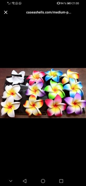 Accessoires cheveux fleurs tropicales