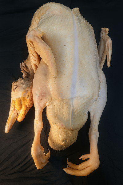 Canard entier Fermier Délice