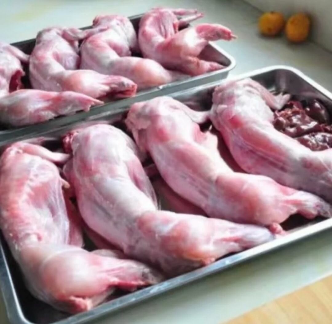 Viande de Lapin Fraîche