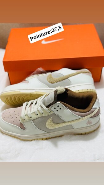 Baskets Nike Taille 37,5