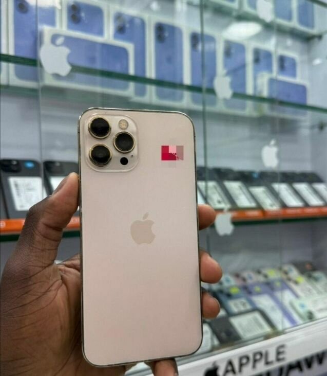 iPhone 13 Pro Max - 256 Go