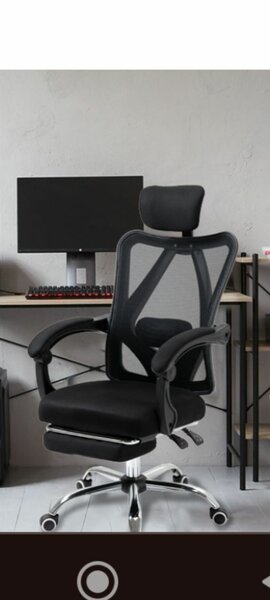 Executive Office Chair