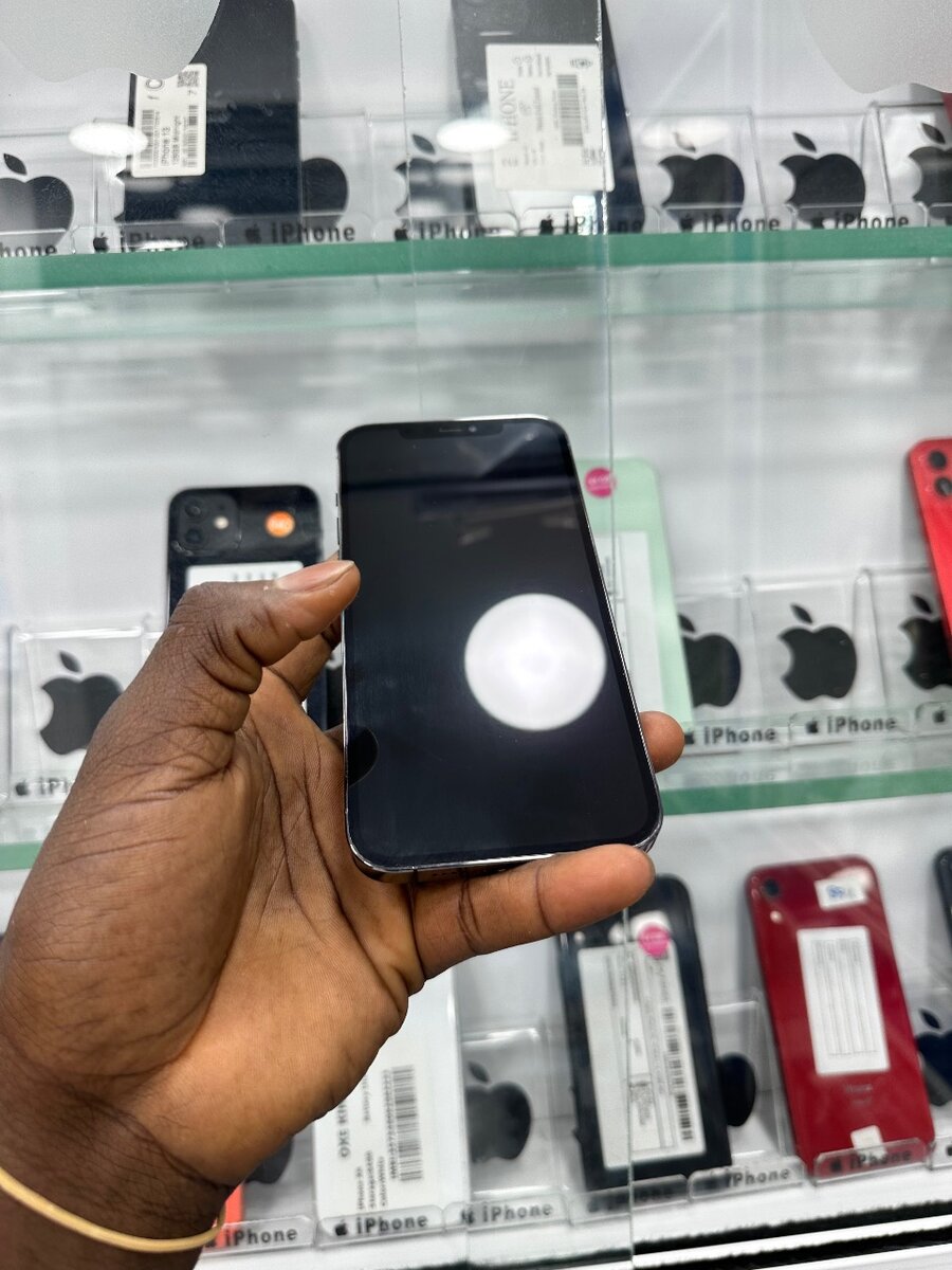 iPhone 12 Pro Max 256GB Noir