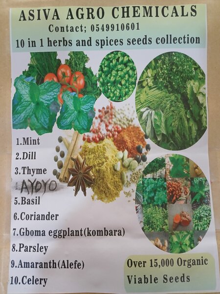 10 in 1 herbs and spices seeds