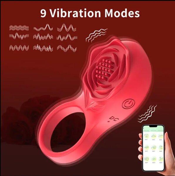 Dual mens ring vibrator
