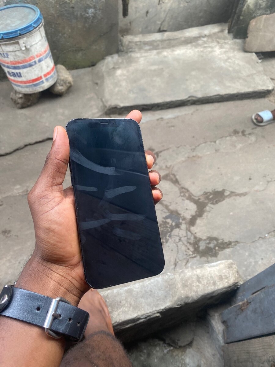 iPhone 12 Pro Max Bleu