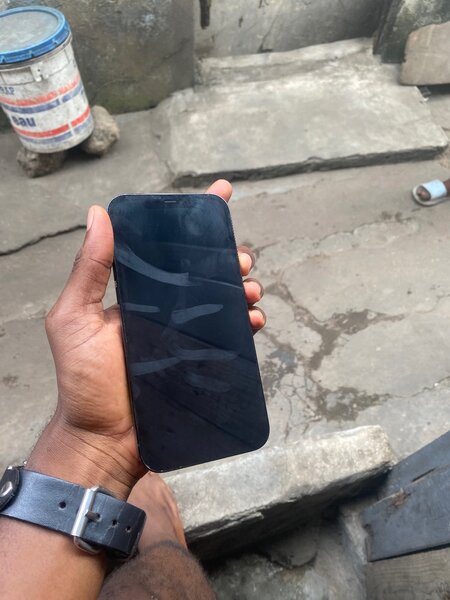 iPhone 12 Pro Max Bleu