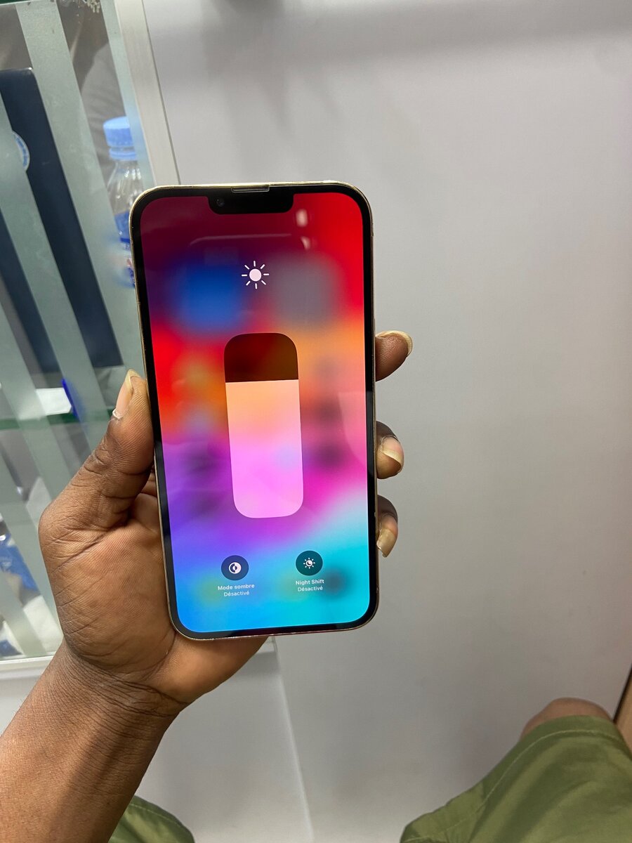 13 Pro Max 256Go avec carton