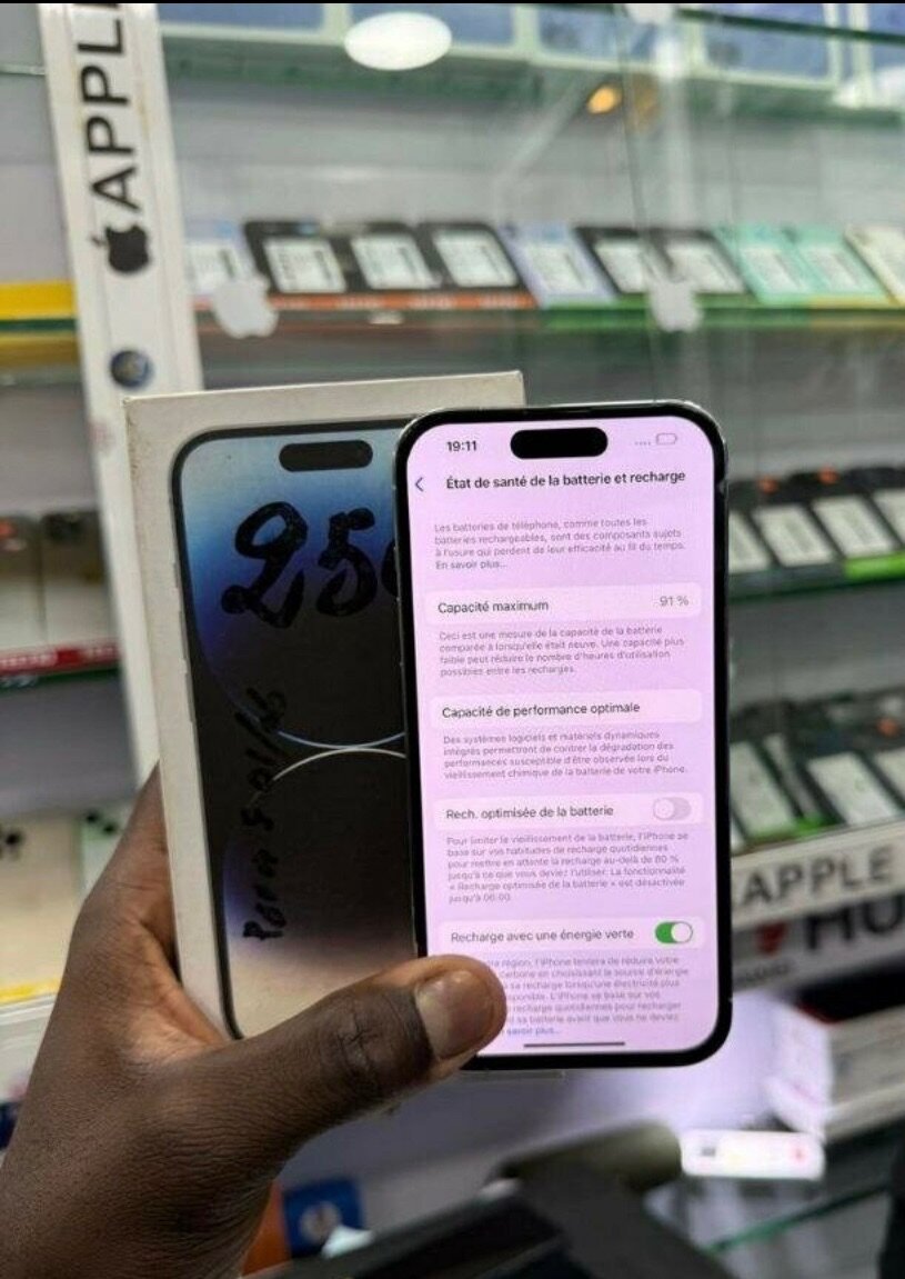 iPhone 13 Pro Max 256GB Argent