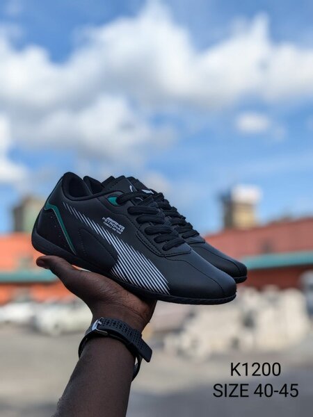 AMG  PETRONAS  PUMAS