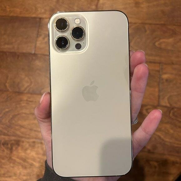 iPhone 13 Pro Max Argent