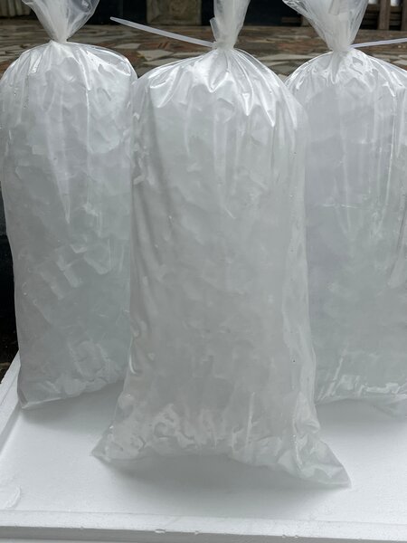 Sachet glace alimentaire 5kg