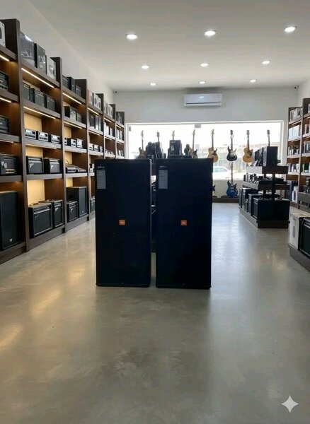 Enceintes de sonorisation pro