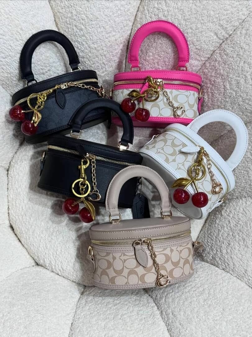 Mini sacs à main élégants