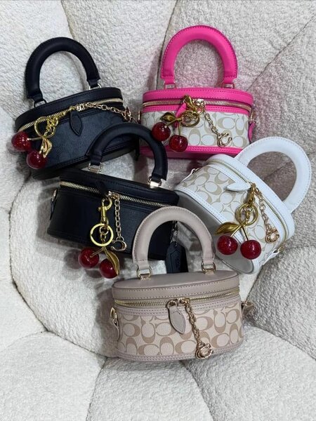 Mini sacs à main élégants