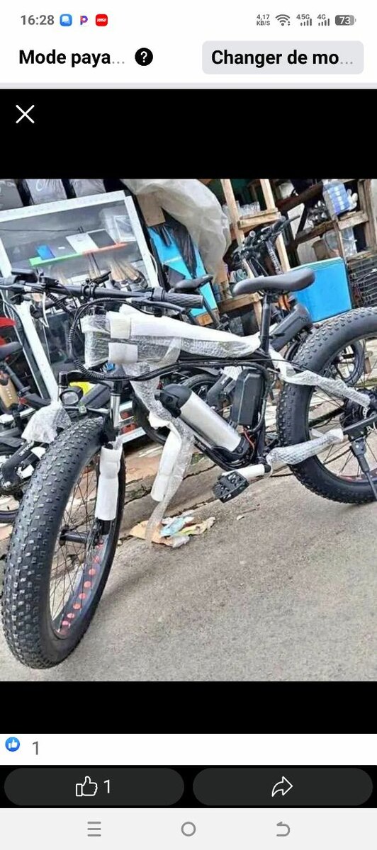 Vélo électrique tout-terrain