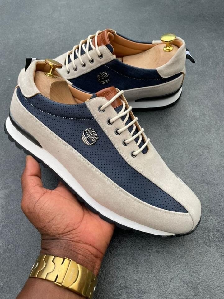 Chaussures Timberland