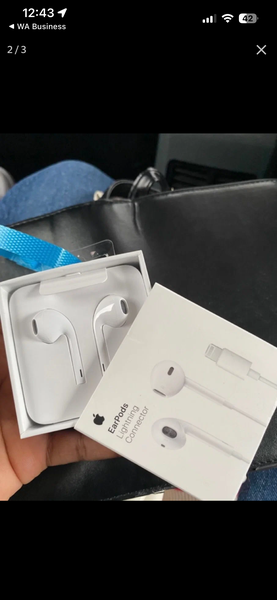 Écouteurs Filaires Apple