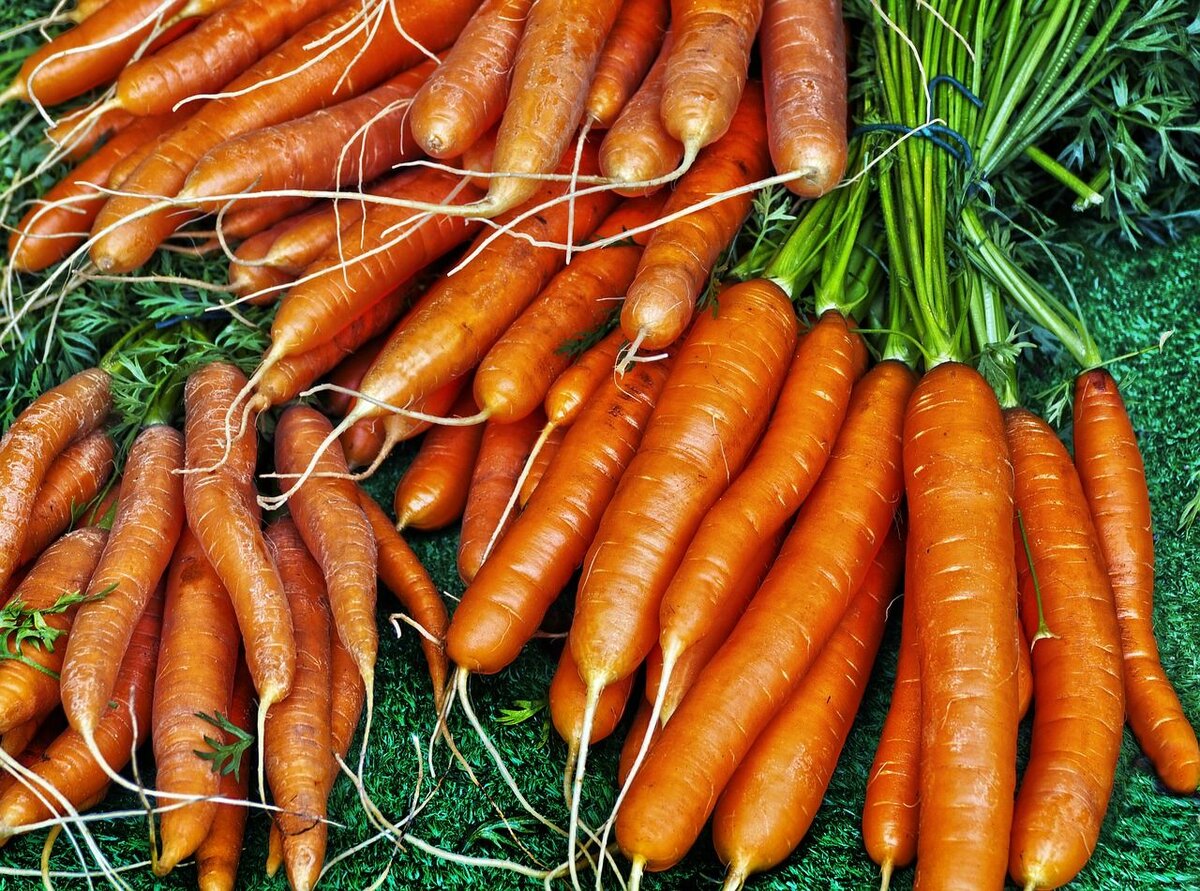 Carrots
