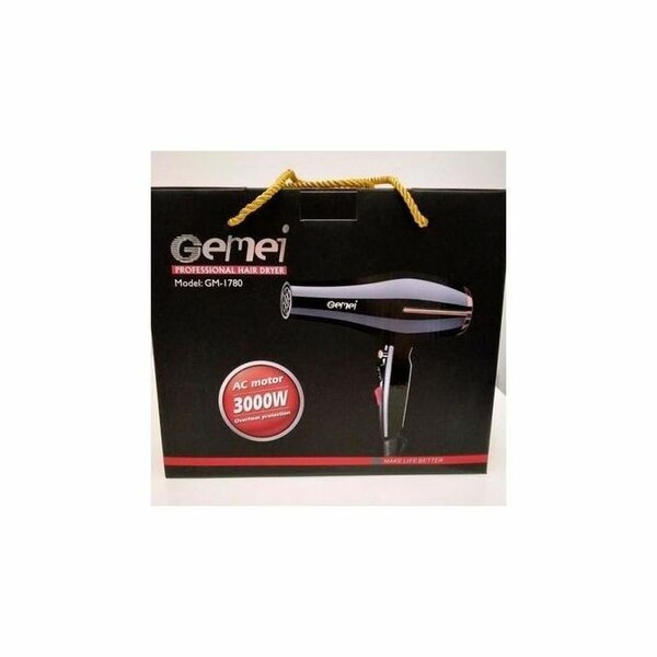 Sèche-cheveux professionnel Gemei