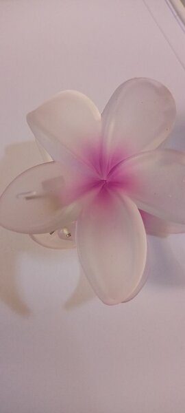 Lumière de nuit fleur LED