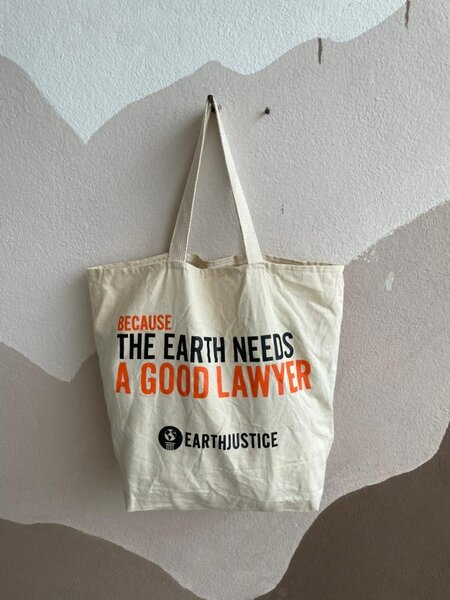 Sac fourre-tout écologique