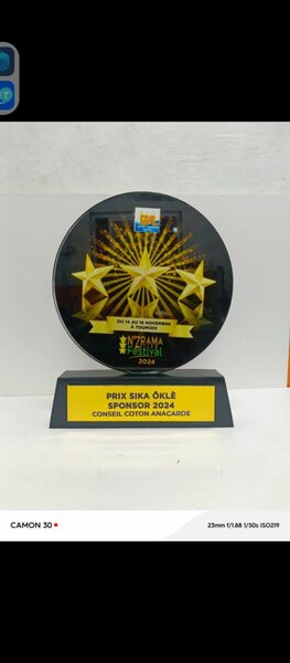 Trophées Personnalisés de Reconnaissance