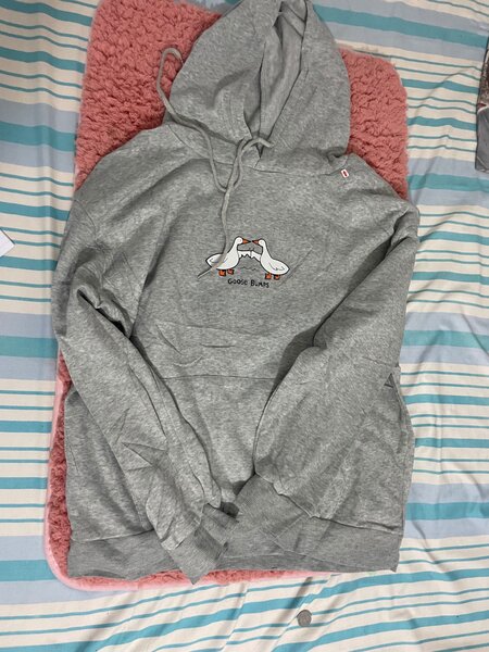 Pull-over gris avec capuche