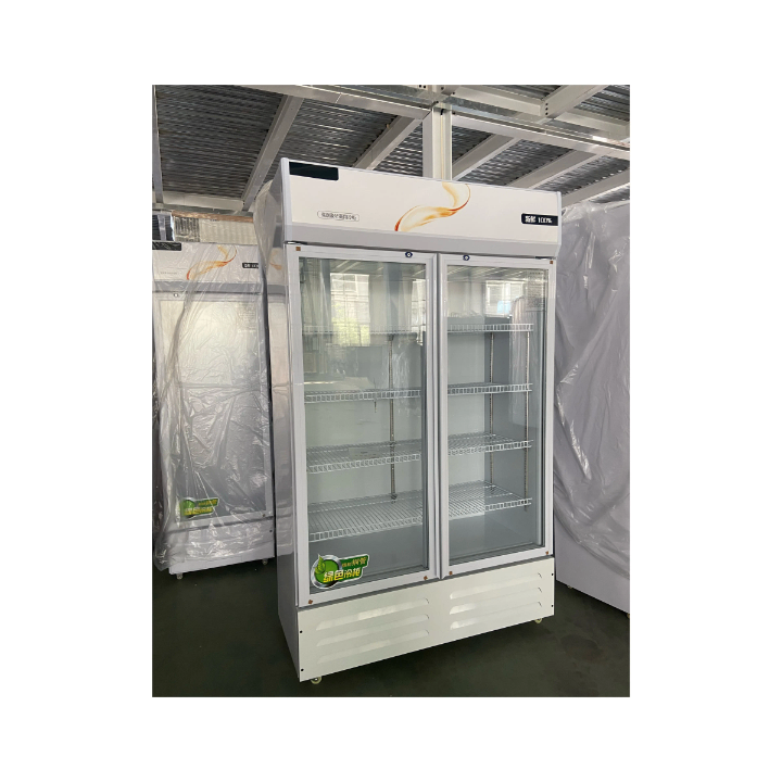 Display Freezer