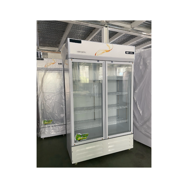 Display Freezer