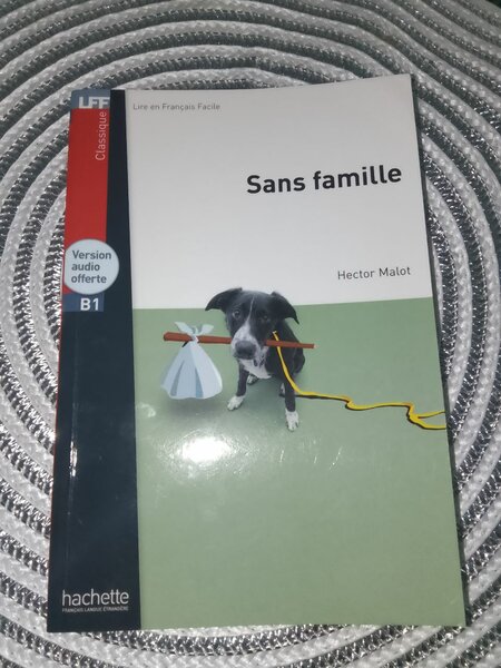 Livre Sans Famille Hector Malot