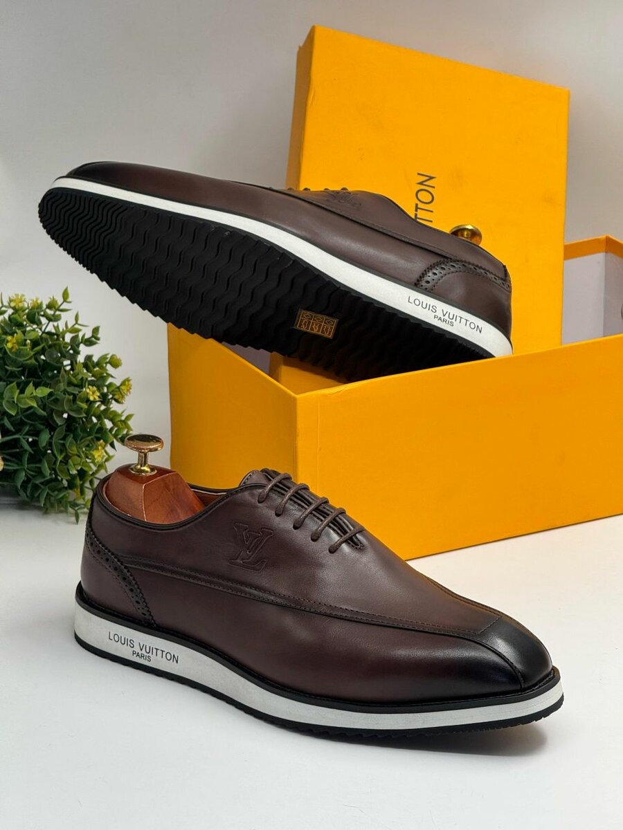 Louis Vuitton Shoes