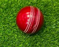 Practice ball ,Practice ball-indoor Play , Soft Rubber Cricket Ball , Cricket Balls for Training Soft & Safe Rubber Easy Bounce, Swing & Spin, Ideal For Training, Match and Garden Play and Outdoor Ball-Net Practice Ball