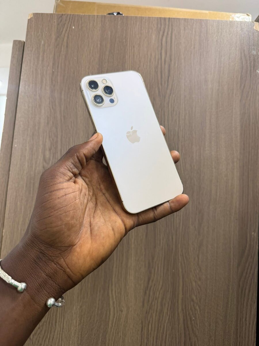 iPhone 12 Pro Max 256GB