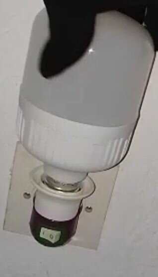 Adaptateur de douille à interrupteur