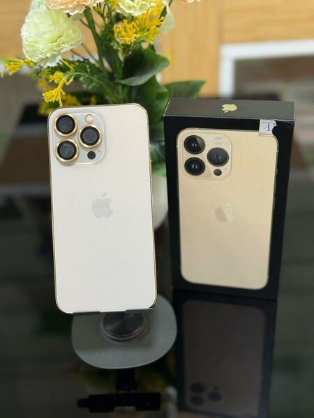 13 pro jamais démonter très pr