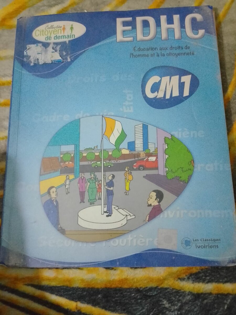 Livres scolaires CM et CE