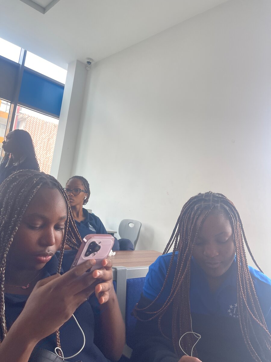 Coiffure Afro Tressée