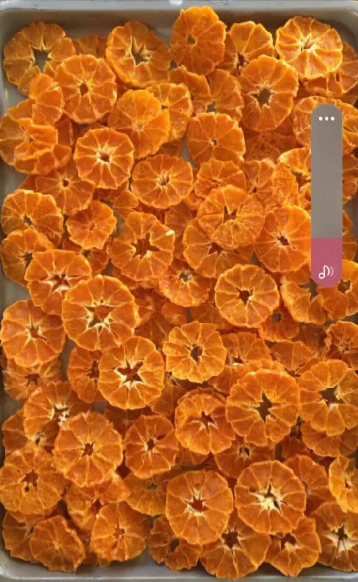 Déshydrateur Alimentaire Électrique