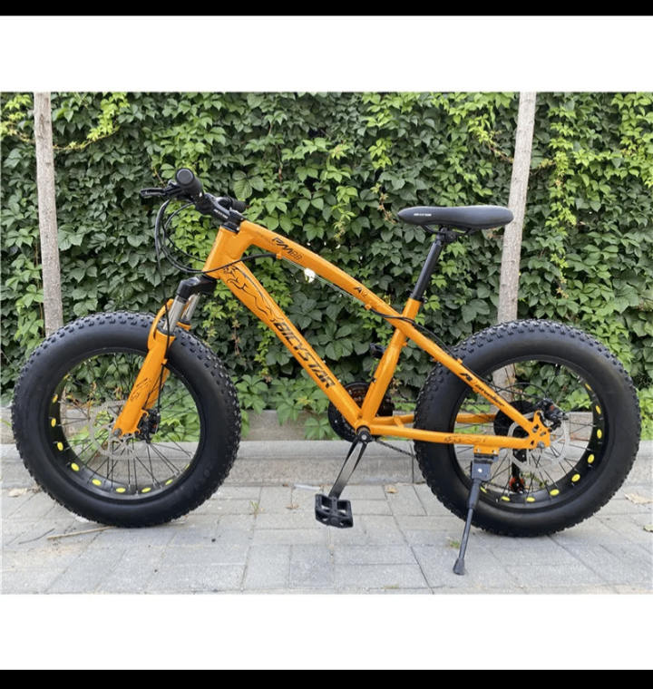 Vélo Fat Bike Tout-Terrain