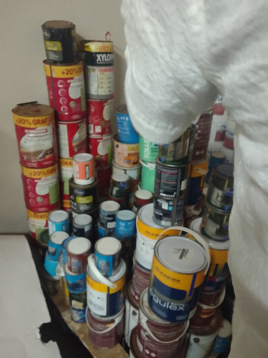 Peintures Intérieures Xylophile