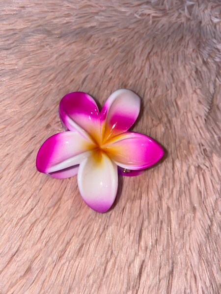 Pinces à cheveux fleurs tropicales
