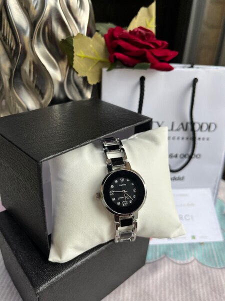 Montres Élégantes en Acier