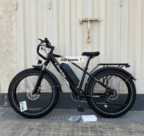 Vélo électrique tout-terrain