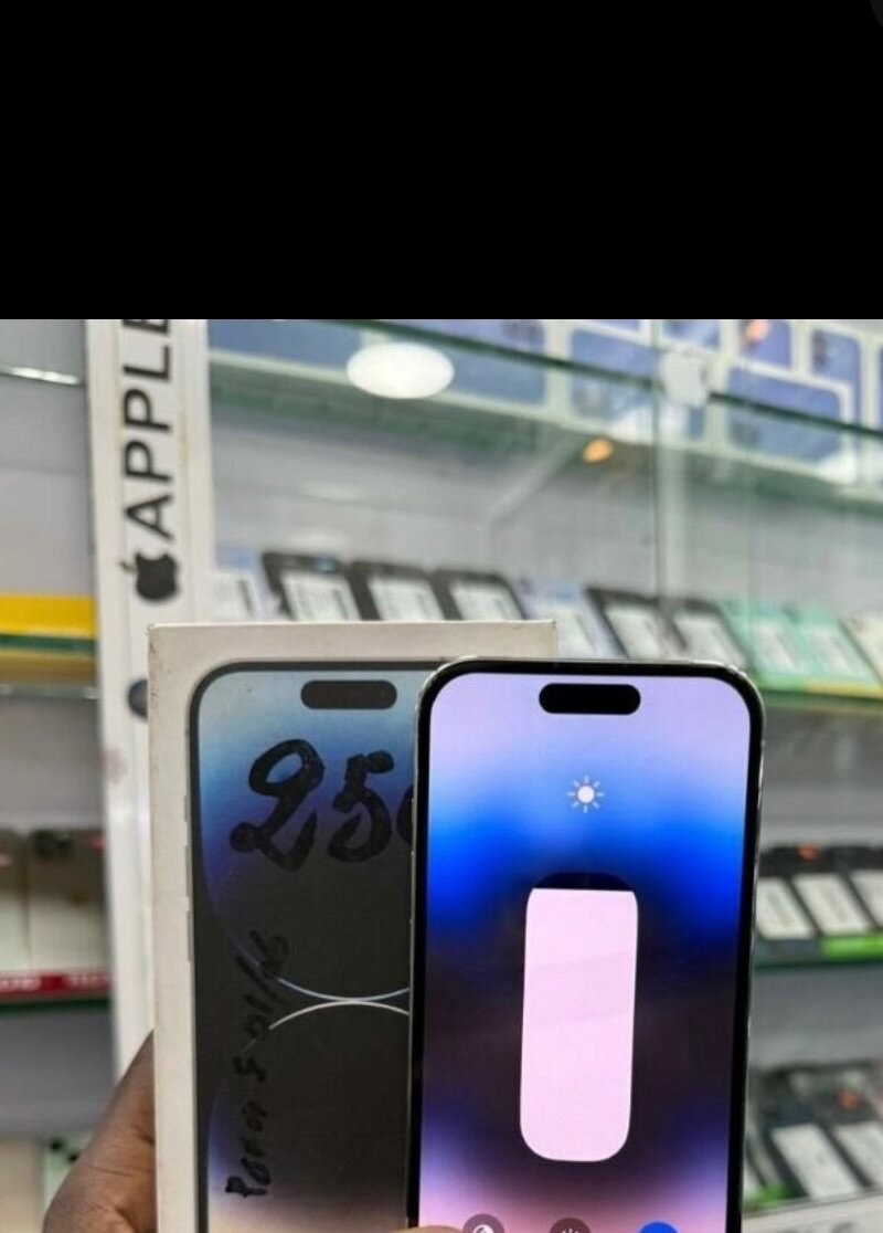 iPhone 13 Pro Max 256GB Argent