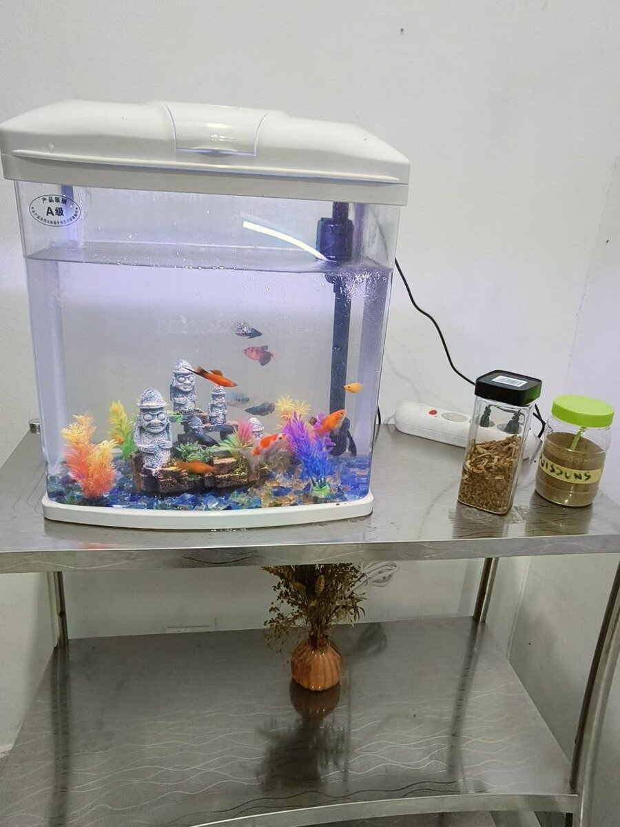 Aquarium avec éclairage LED