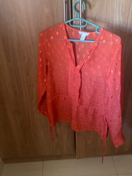Blouse- Rusty orange