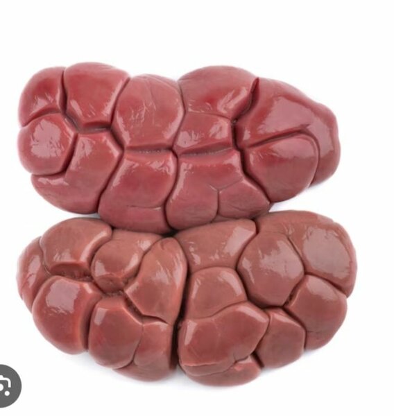 Rognons frais de bœuf