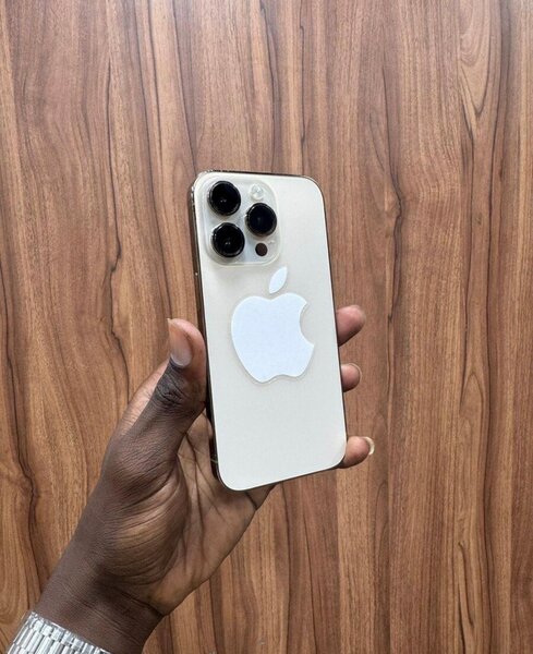 iPhone Pro Max Argent